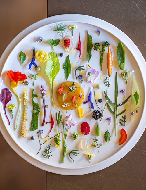 Walk through my garden